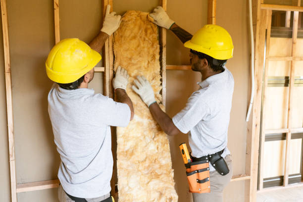 Types of Insulation We Offer in Bushnell, FL